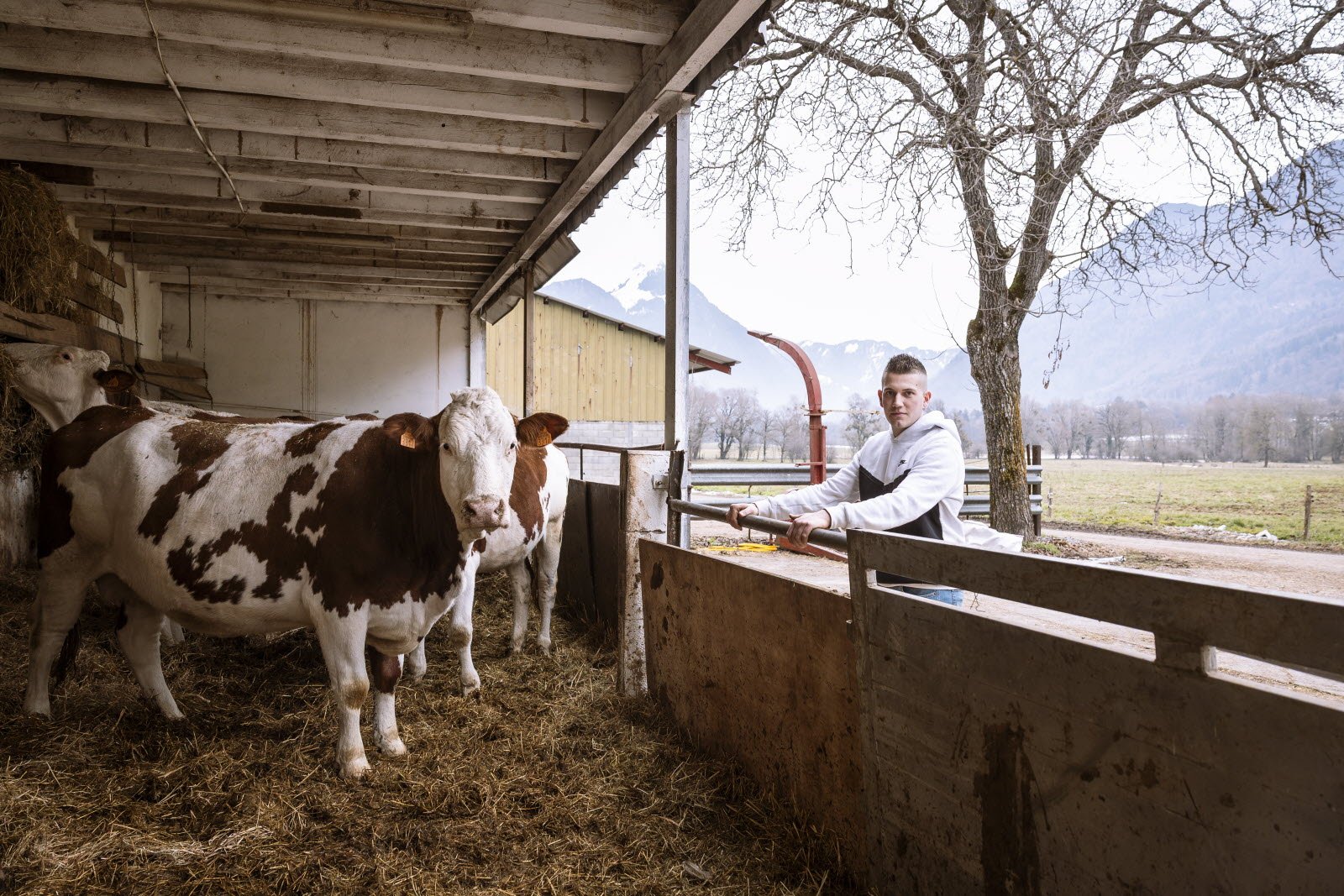 Concours Général Agricole