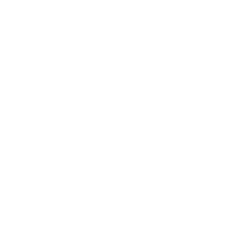 Liik